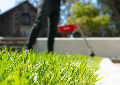landscape-maintenance-39